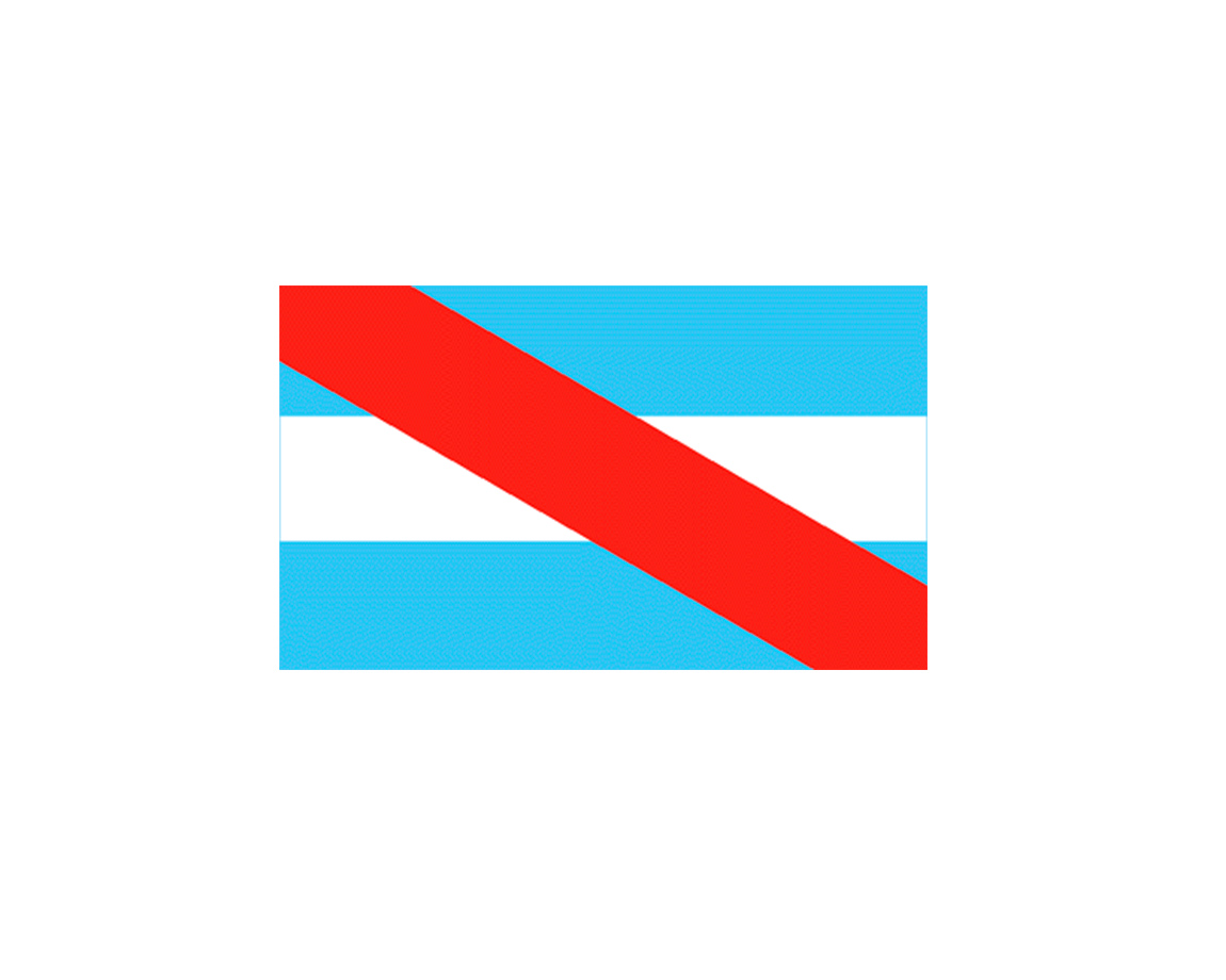 BANDERA MILENIO 3002 ENTRE RIOS 90 x 150