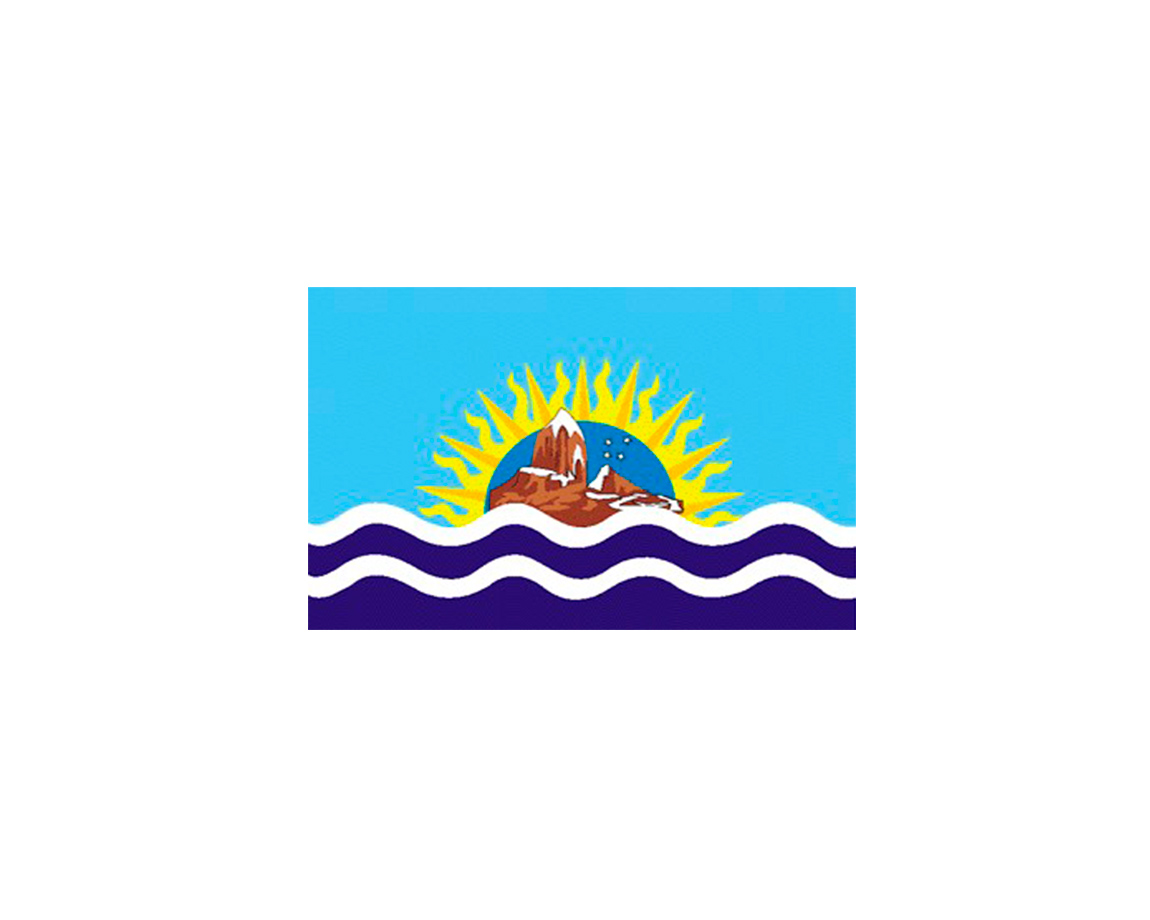 BANDERA MILENIO 3016 SANTA CRUZ 90 x 150