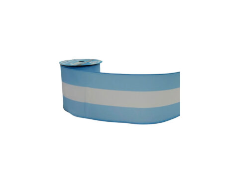 CINTA ARGENTINA ARISTE Nro 60 RAYON 80mm