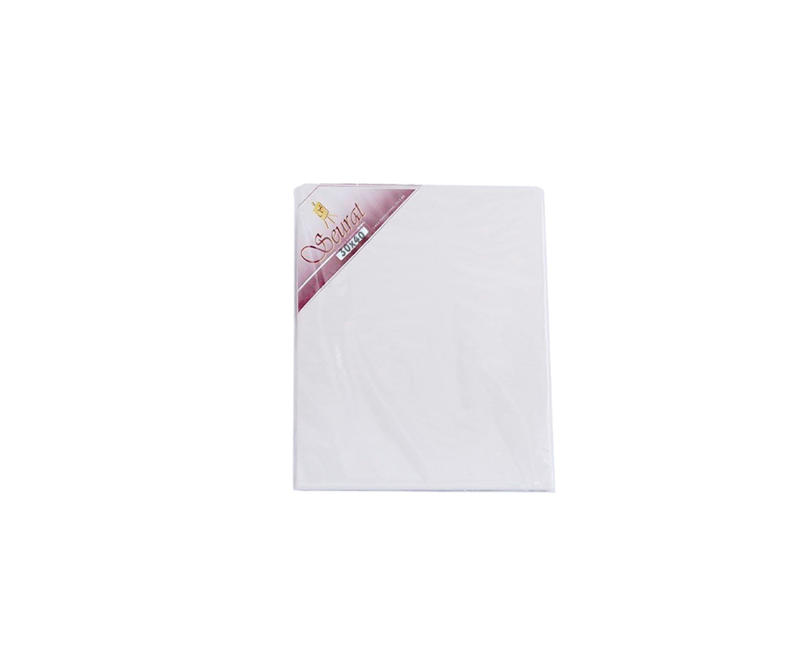 BASTIDOR SEURAT ENTELADO  30x40