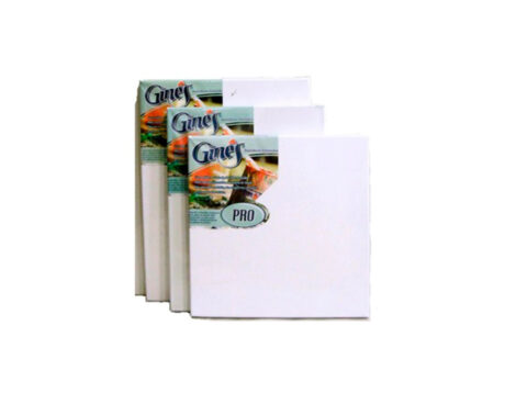 BASTIDOR GINES PRO ENTELADO 20x20