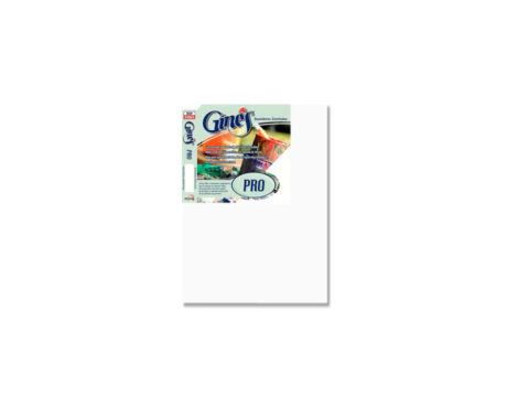 BASTIDOR GINES PRO ENTELADO 20x30