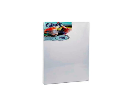 BASTIDOR GINES PRO ENTELADO 35x50