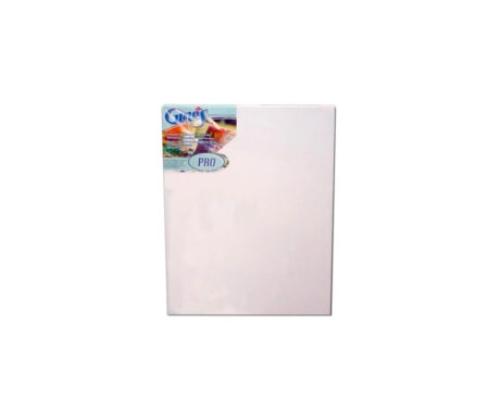 BASTIDOR GINES PRO ENTELADO 50x50