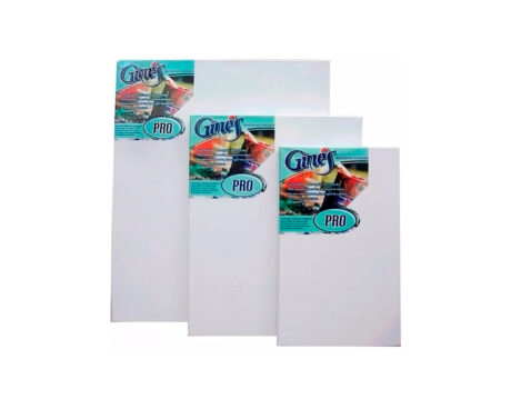 BASTIDOR GINES PRO ENTELADO 60x80