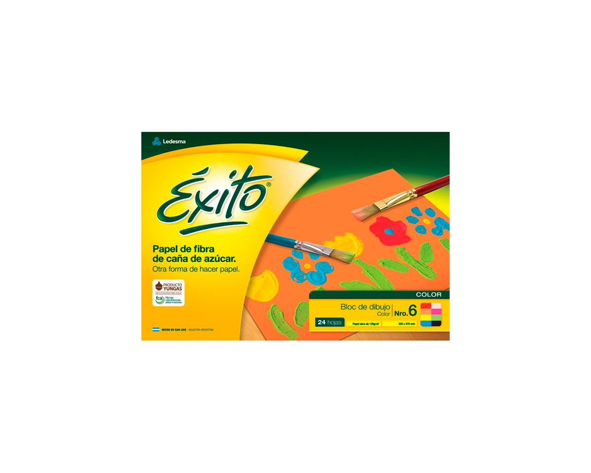 BLOCK EXITO COLOR Nro 6 P/DIBUJO 24 H. L