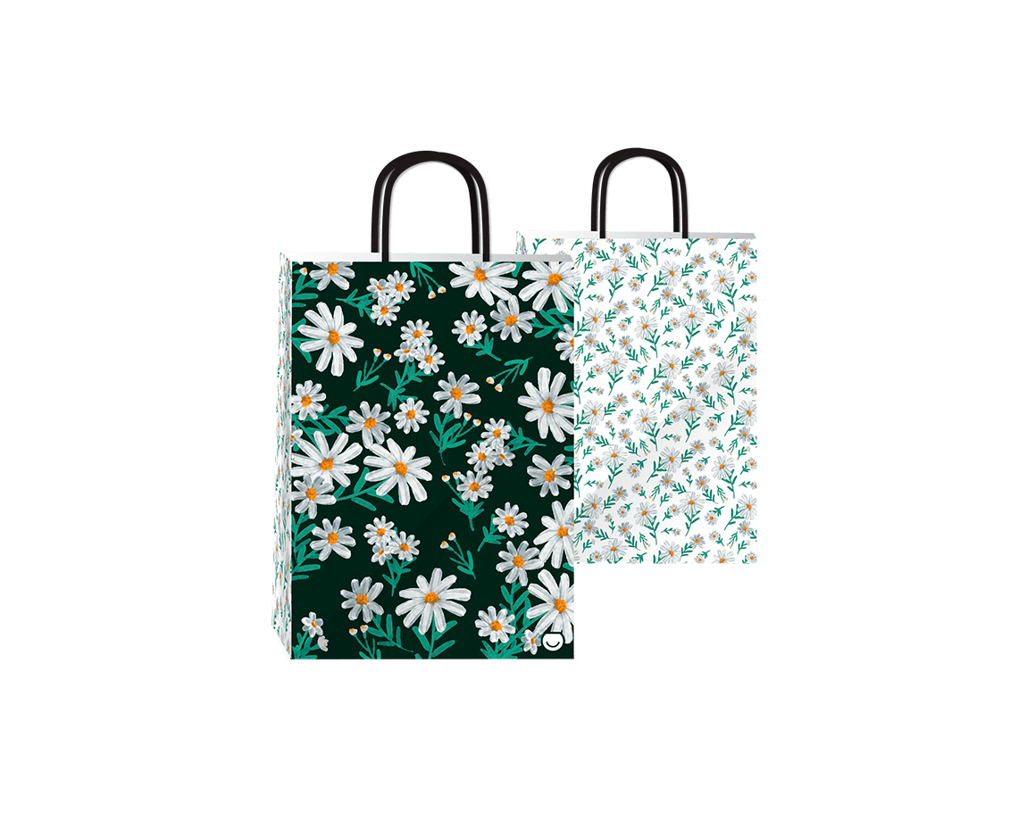 BOLSA REGALO ROMI DAISIES 14x20 x UND