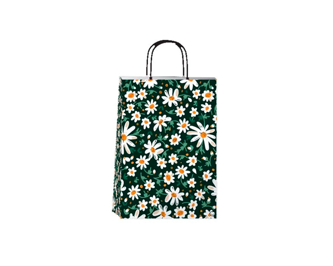 BOLSA REGALO ROMI DAISIES 22x30 x UND