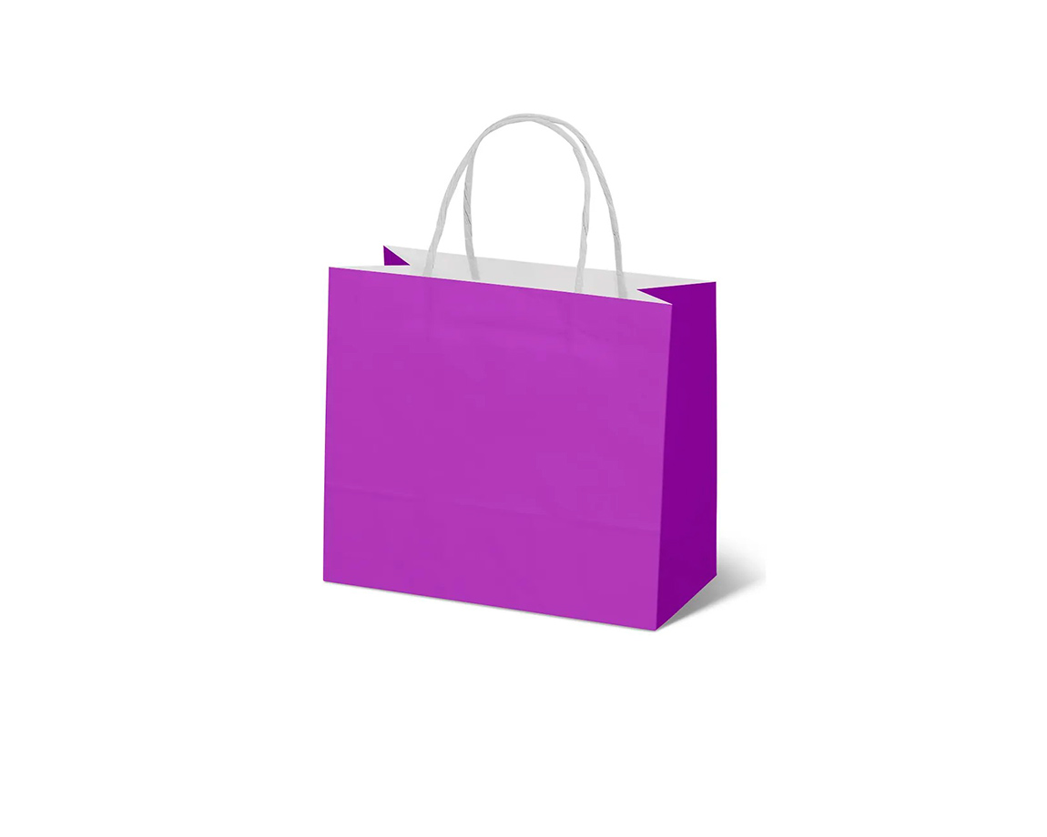 BOLSA GP KRAFT KP5 300x110x410 GR VIOLETA 125 G.