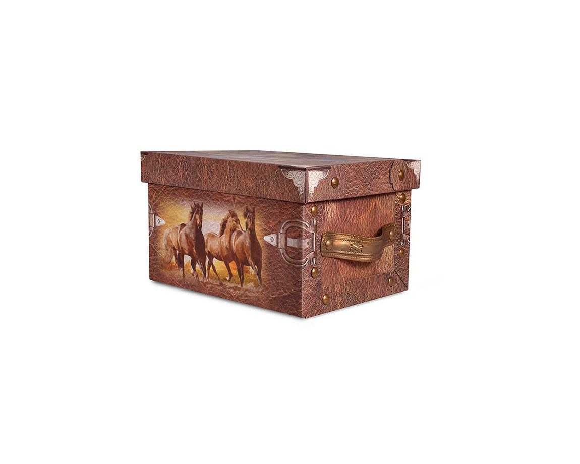 CAJA MICROBOX BAULERA -BAUG1 CABALLO CHICA