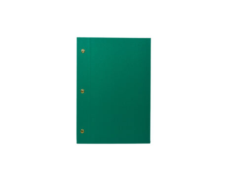 CARPETA LAMA Nº3 2 TAPAS VERDE