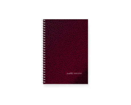 CUADERNO LEDESMA EXECUTIVE 29.7 ESPx84 H = BO T/P