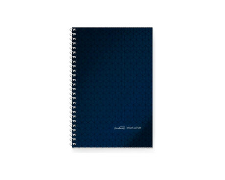 CUADERNO LEDESMA EXECUTIVE 29.7 ESPx84 H.# AZ T/P