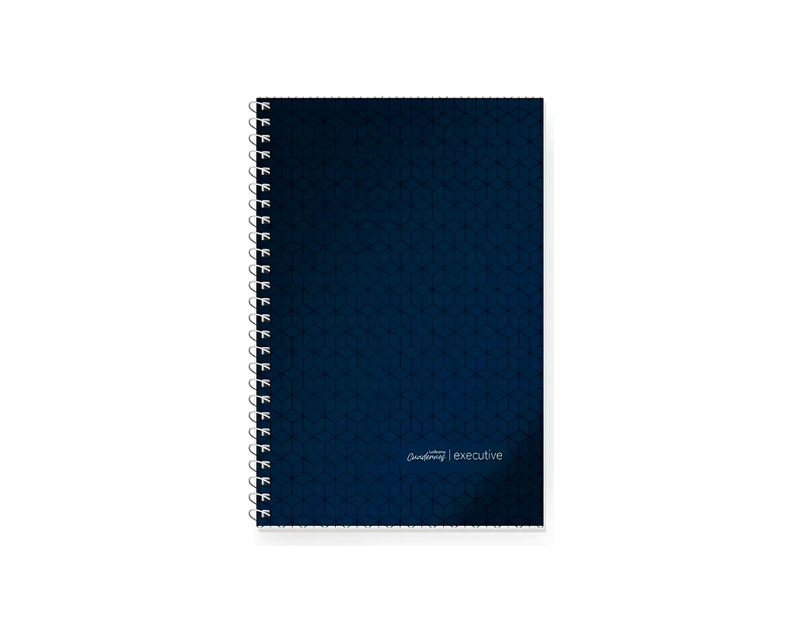 CUADERNO LEDESMA EXECUTIVE 29.7 ESPx84 H.# AZ T/P