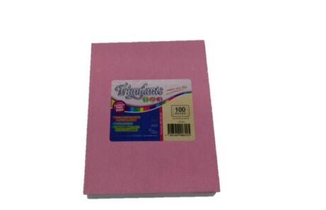 CUADERNO TRIUNFANTE 123 190x235 T/D 100 H # AR. ROSA