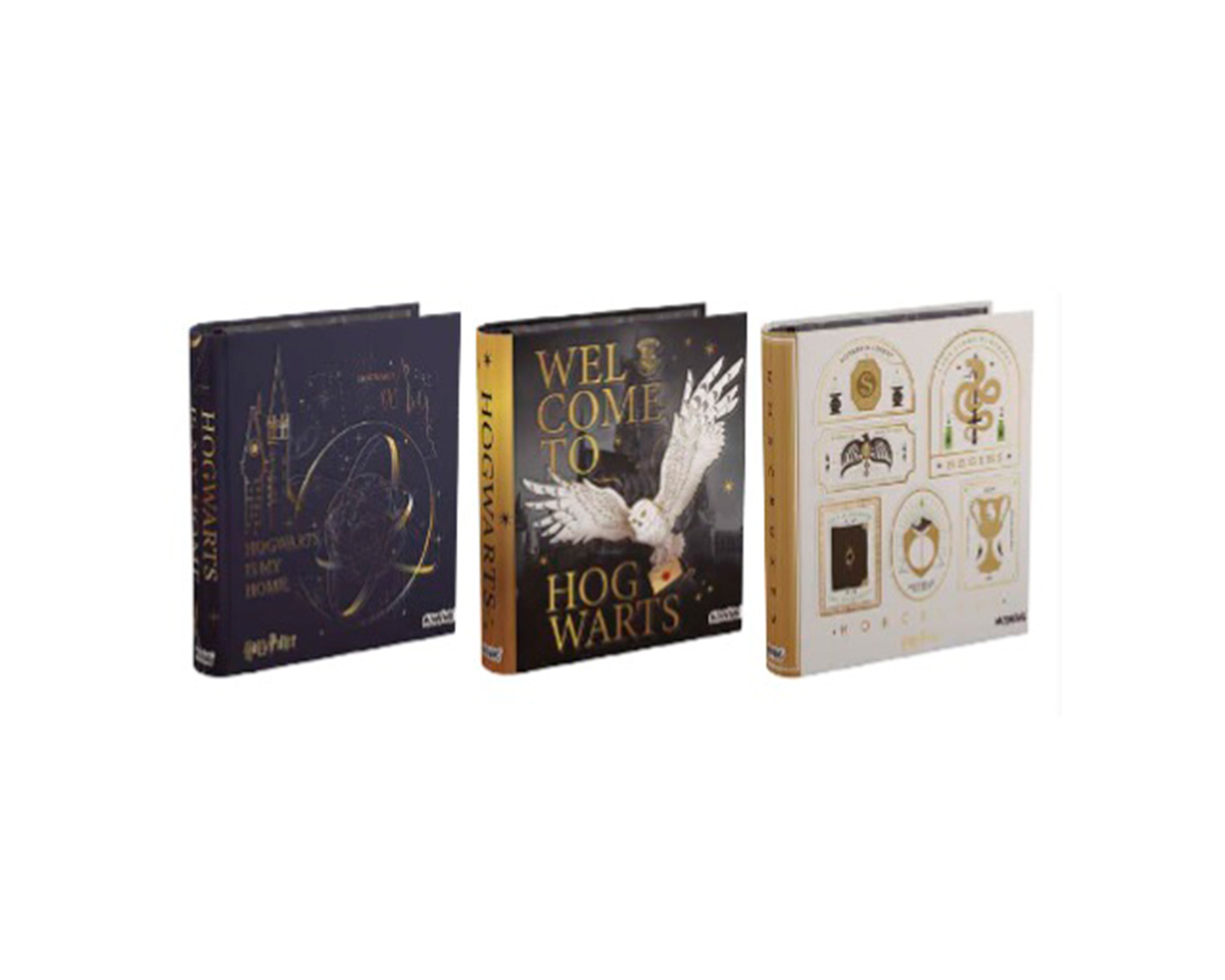 CARPETA MOOVING 340 1001222 HARRY POTTER CARTONE