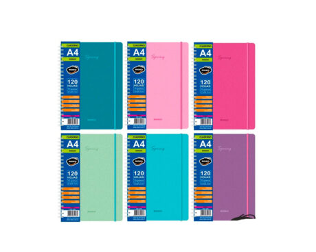 CUADERNO RIDEO 3294 A4 SPRING 120 H =