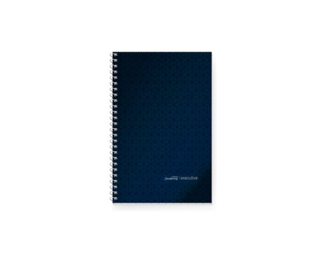 CUADERNO LEDESMA EXECUTIVE 29.7 ESPx84 H = AZ T/P (057090)