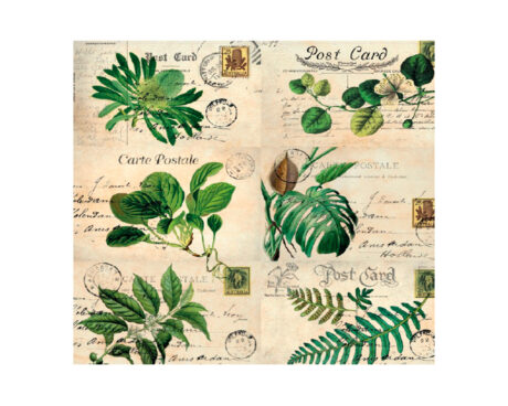 LAMINAS EQ DECOUPAGE 31x31 -15-1500- x 10 UNID.