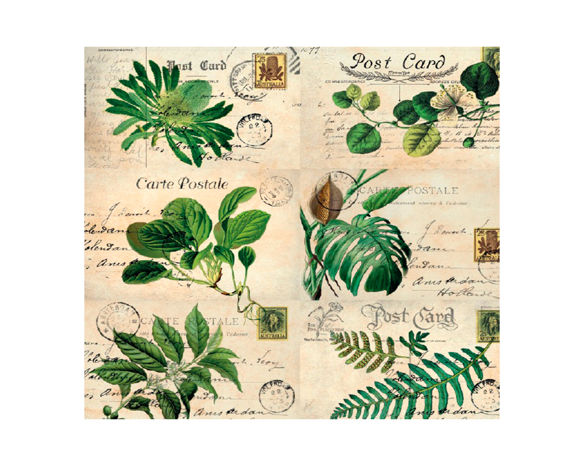 LAMINAS EQ DECOUPAGE 31x31 -15-1500- x 10 UNID.