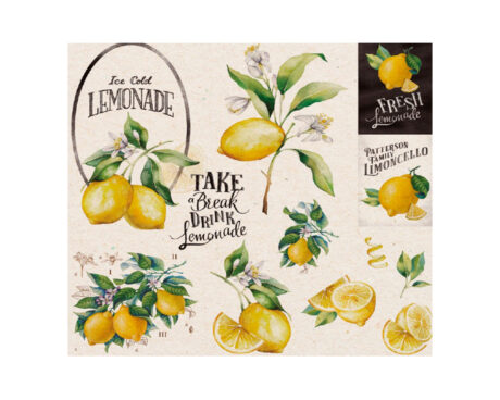 LAMINAS EQ DECOUPAGE 31x31 -17-1703- x 10 UNID.