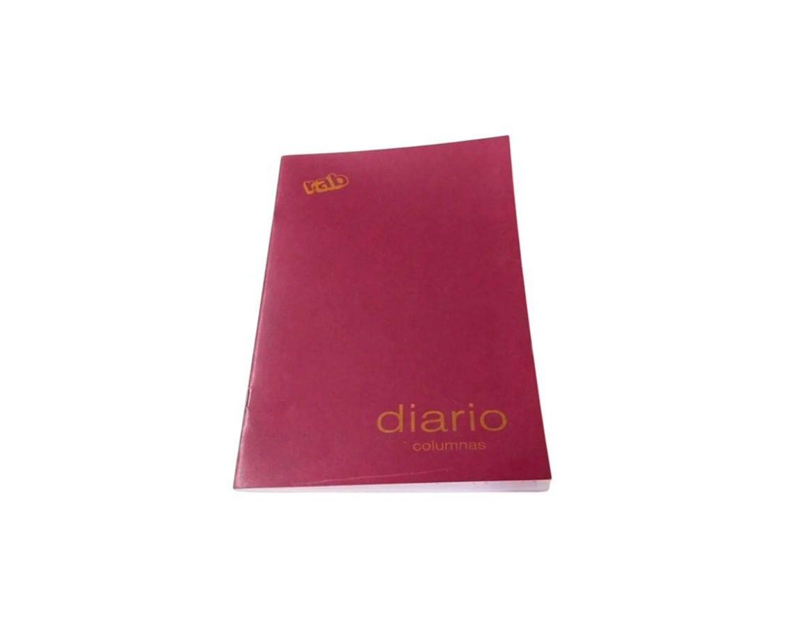 LIBRO RAB CONTABILIDAD DIARIO 2233 3 COL