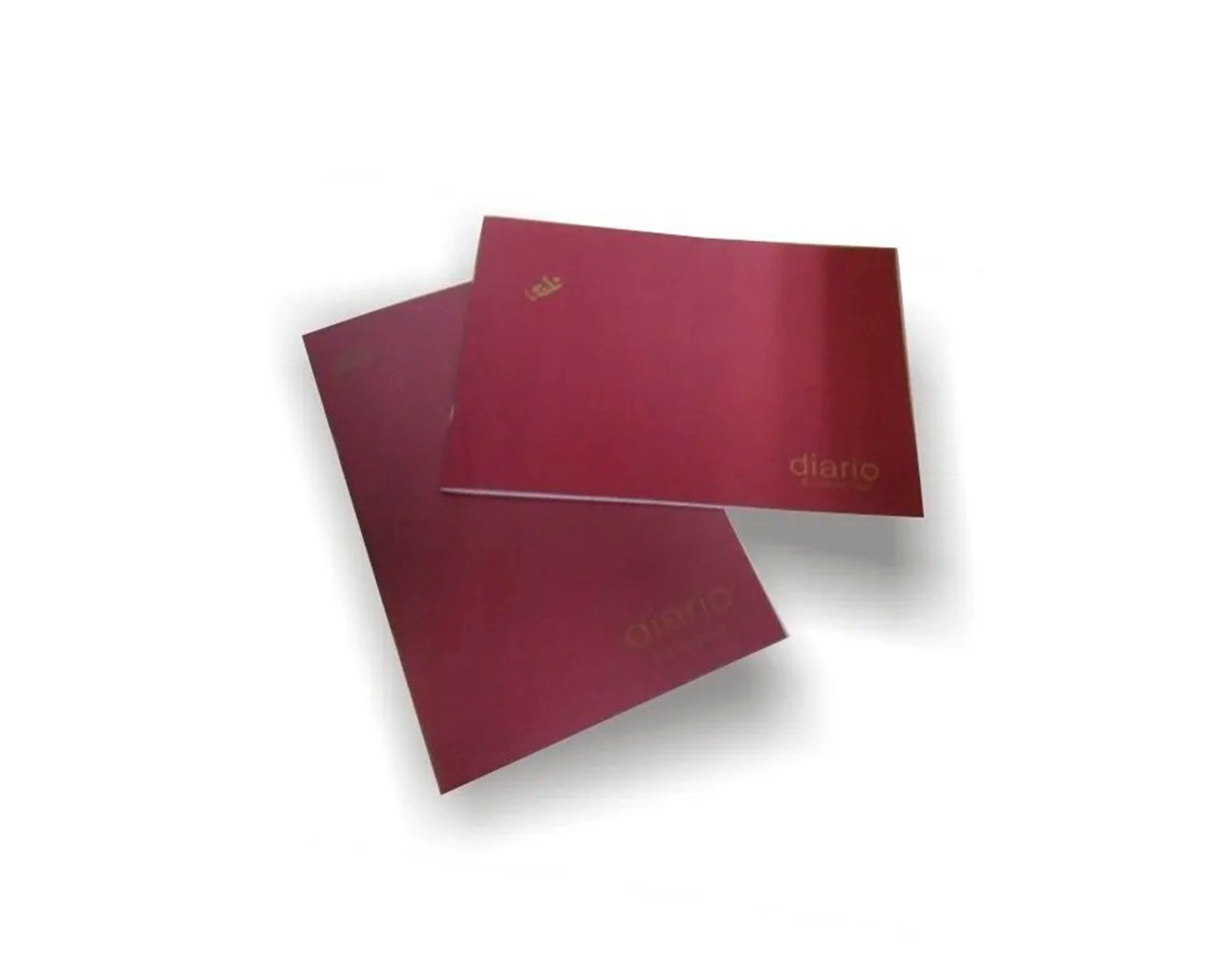 LIBRO RAB CONTABILIDAD MAYOR 2233/M2 T/F