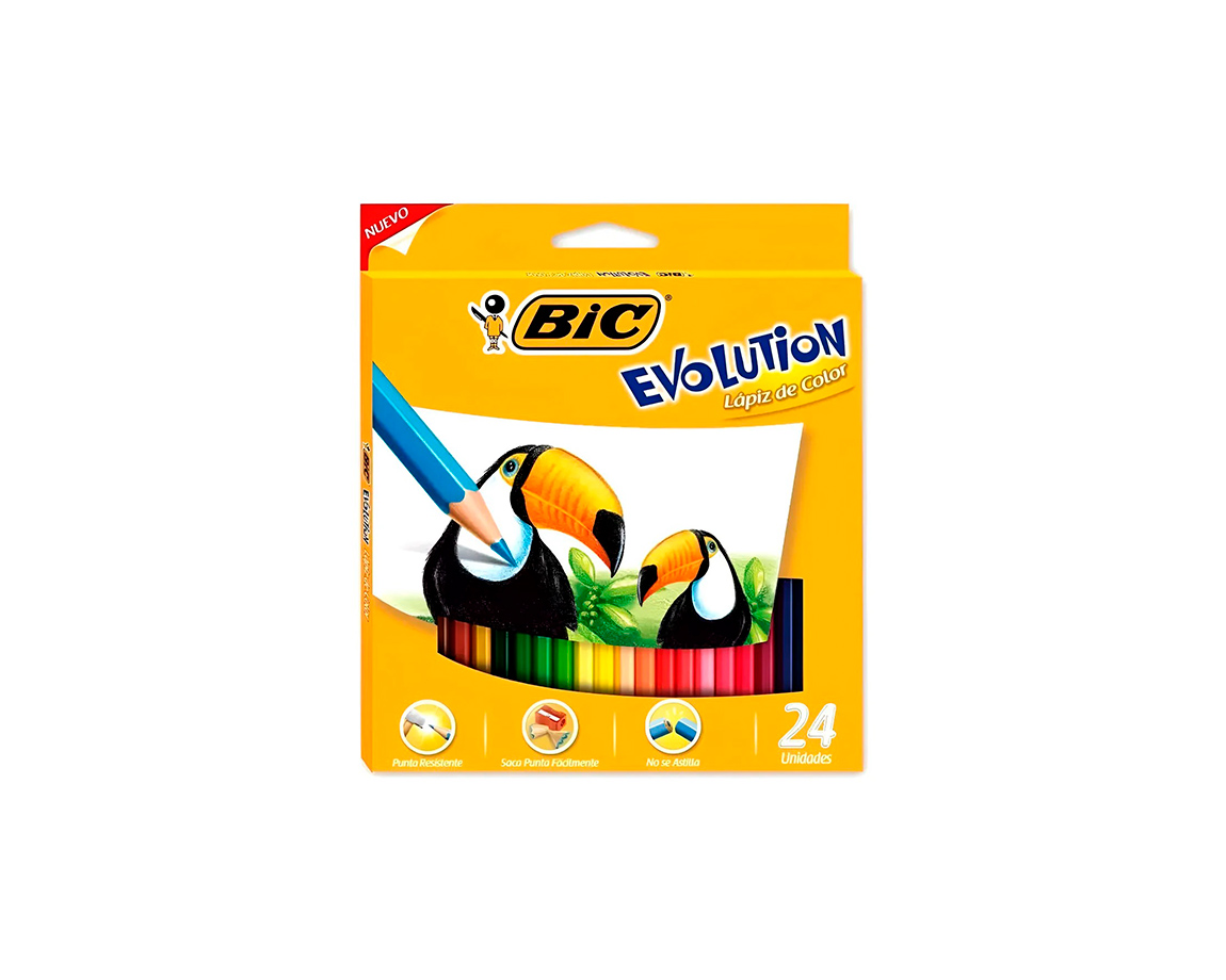 PINTURITAS BIC EVOLUTION x24 COL L