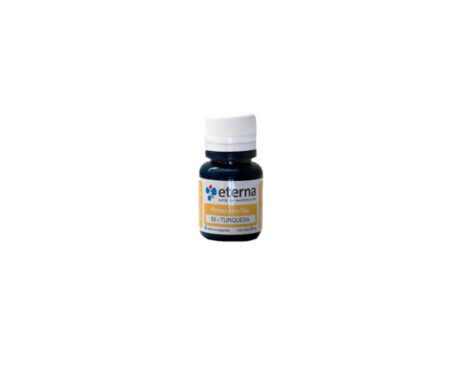 PINTURA ETERNA TELA x 37 ML 55 TURQUESA