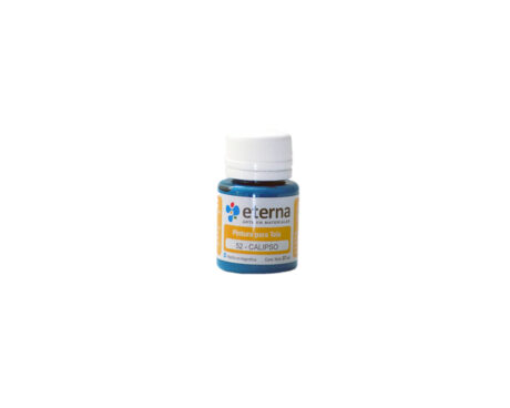 PINTURA ETERNA TELA x 37 ML 52 CALIPSO