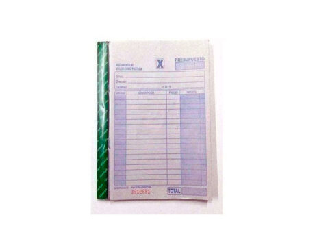TALONARIO ALIANZA DUPLICADO 15x20 GRANDE