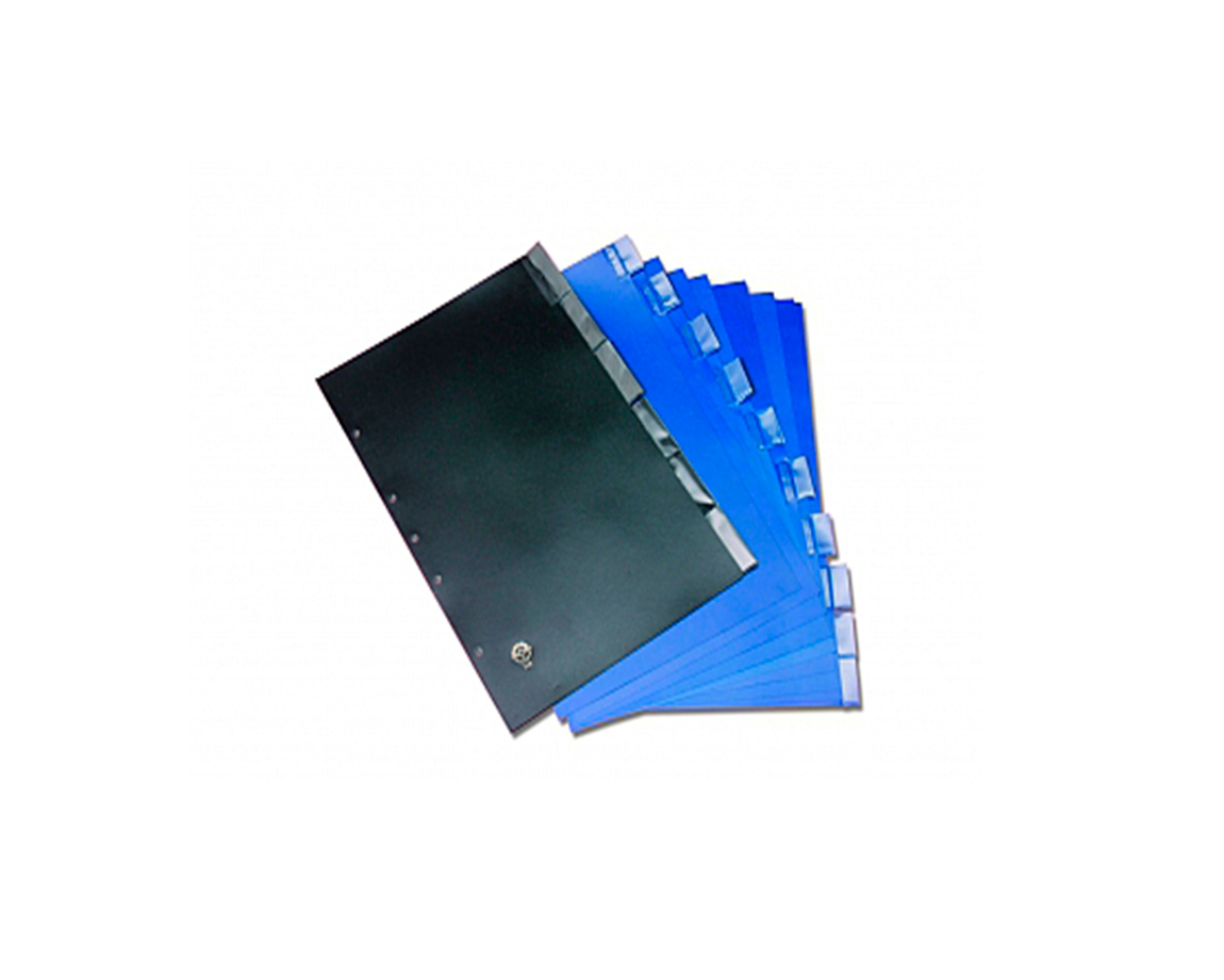 FOLIOS SEPAR PESADO OFICIO x 10 U LAT AZUL
