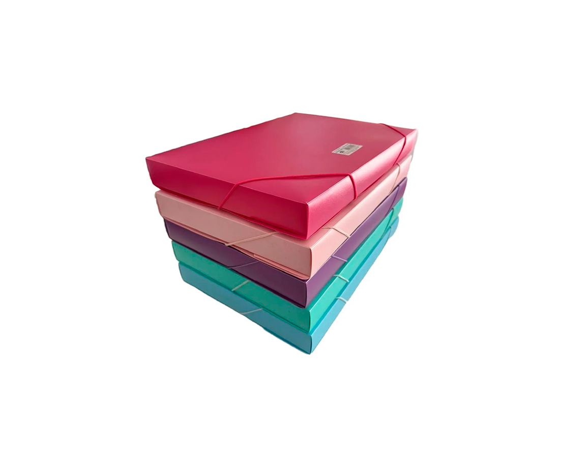 CAJA ARCHIVO RIDEO OFICIO 4CM PP C/EL x U. (0176/7) C/ELAST