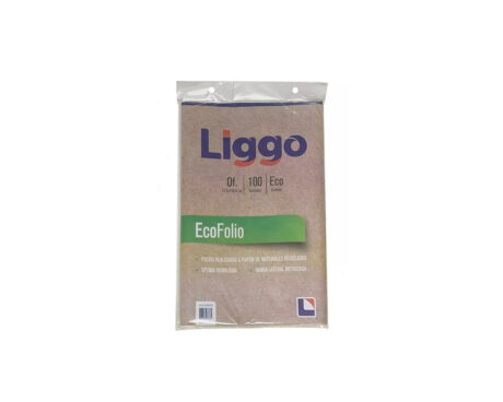 FOLIOS LIGGO ECO OFICIO x100 U.