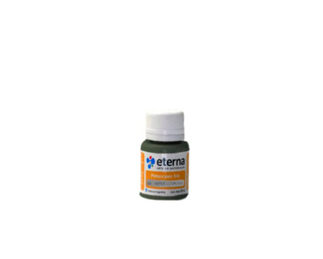 PINTURA ETERNA TELA x 37 ML 66 VERDE COUNTRY