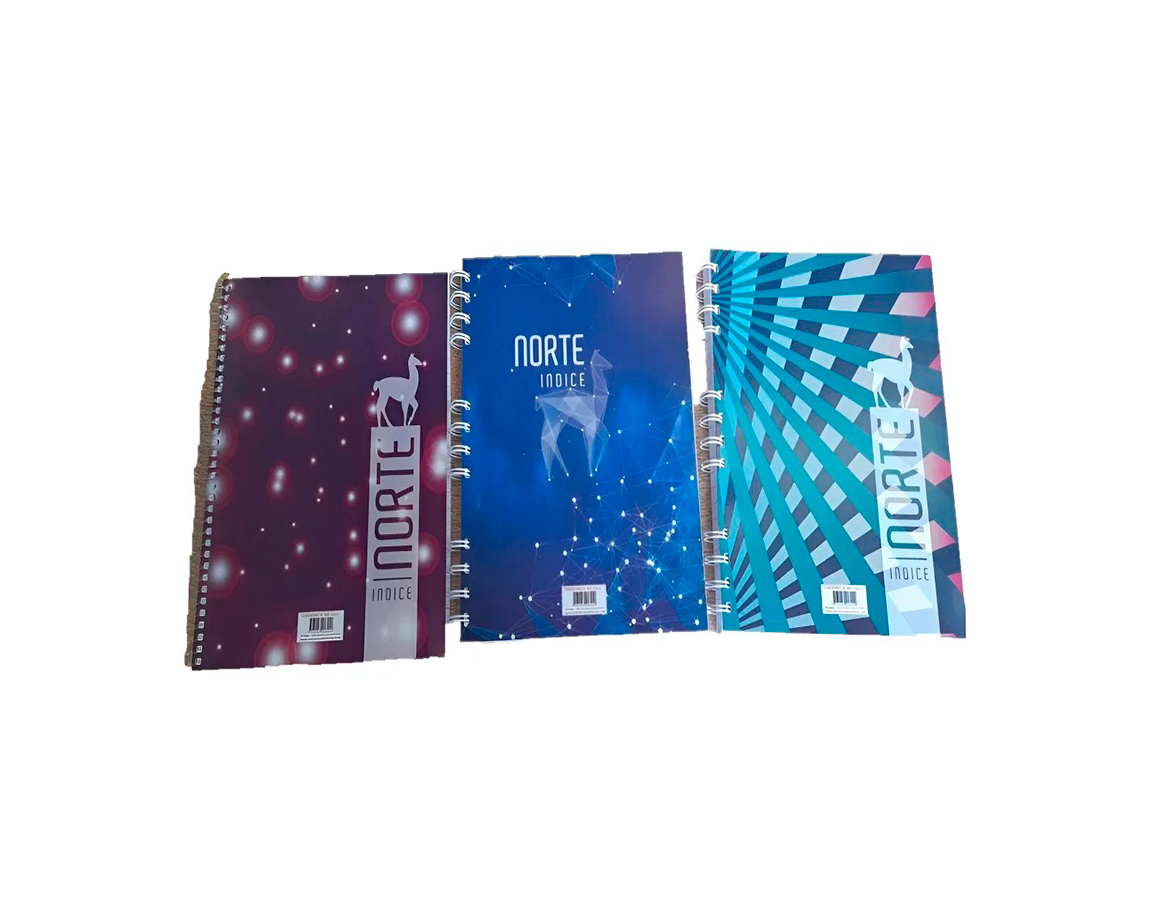 CUADERNO NORTE 842 INDICE 84 HJS