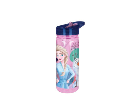 BOTELLA WABRO 1078 580ML LARGE ECOZEN FROZEN
