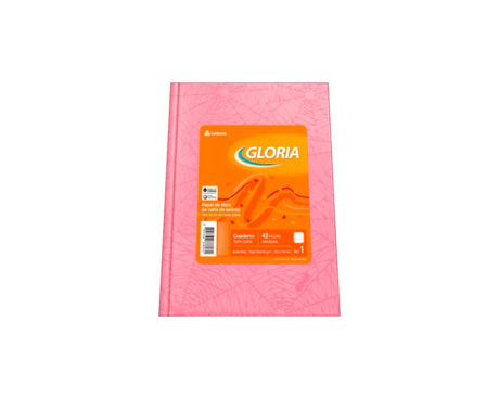CUADERNO GLORIA ARAÑA  42 H = ROSA