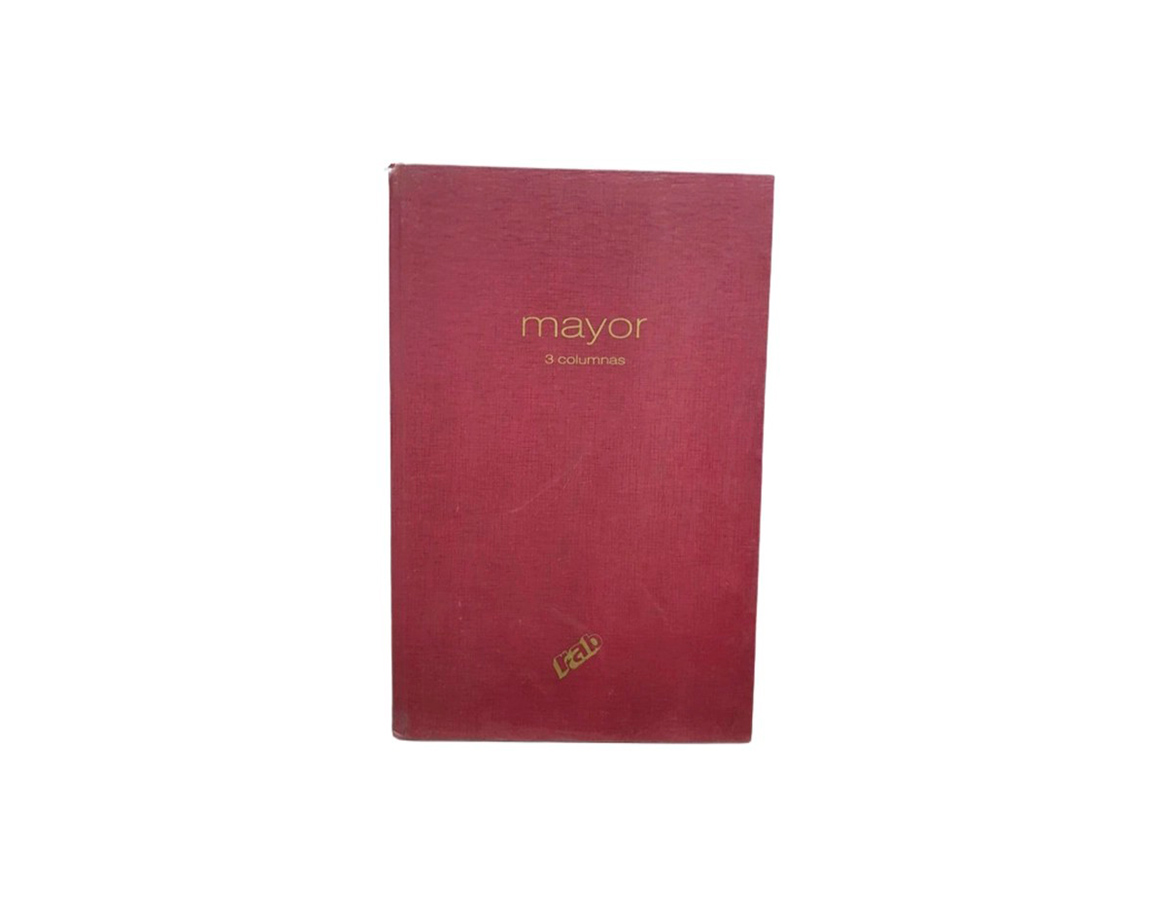 LIBRO RAB CONTABILIDAD MAYOR 2233/M3 T/F