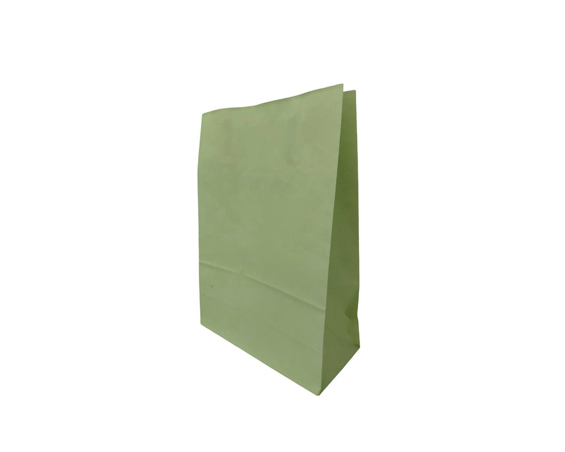 BOLSA REGALO ROMI ACUARIO PISTACHO DUBAI 22x30 x Unid.