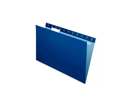 CARPETA COLGANTE NEPACO AZUL