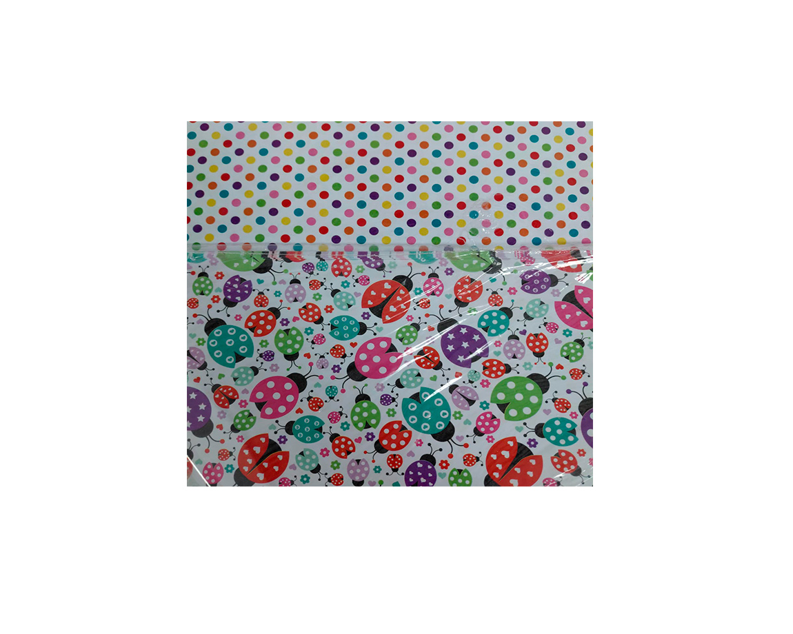 PAPEL CARTULINA PEQUE 58 MARIQUITAS 50x70