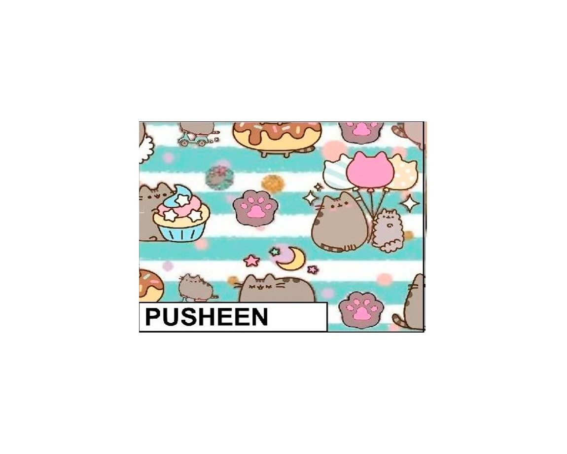 PAPEL PLASTIF. NEW PAPER  PUSHEEN (45)