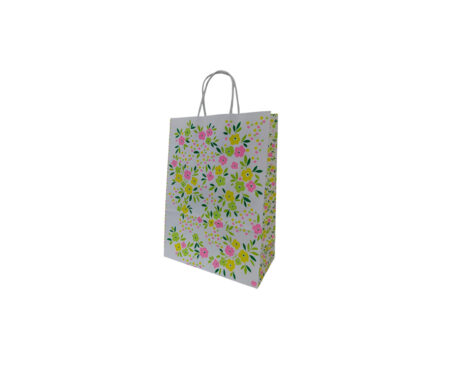 BOLSA REGALO ROMI NALA 14x20 x U.