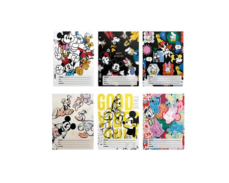 SEPARADOR MOOVING A4 1102253 MICKEY & FRIENDS