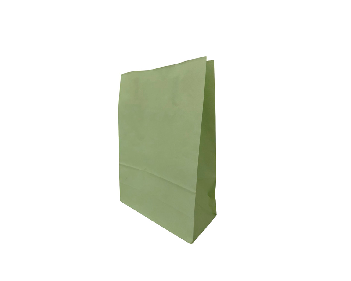 BOLSA REGALO ROMI ACUARIO PISTACHO DUBAI 30x41 x Unid.