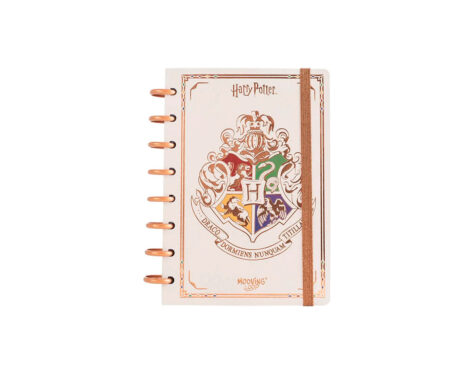 CUADERNO MOOVING LOOP 1721222 HARRY POTTER A5 DISCOS