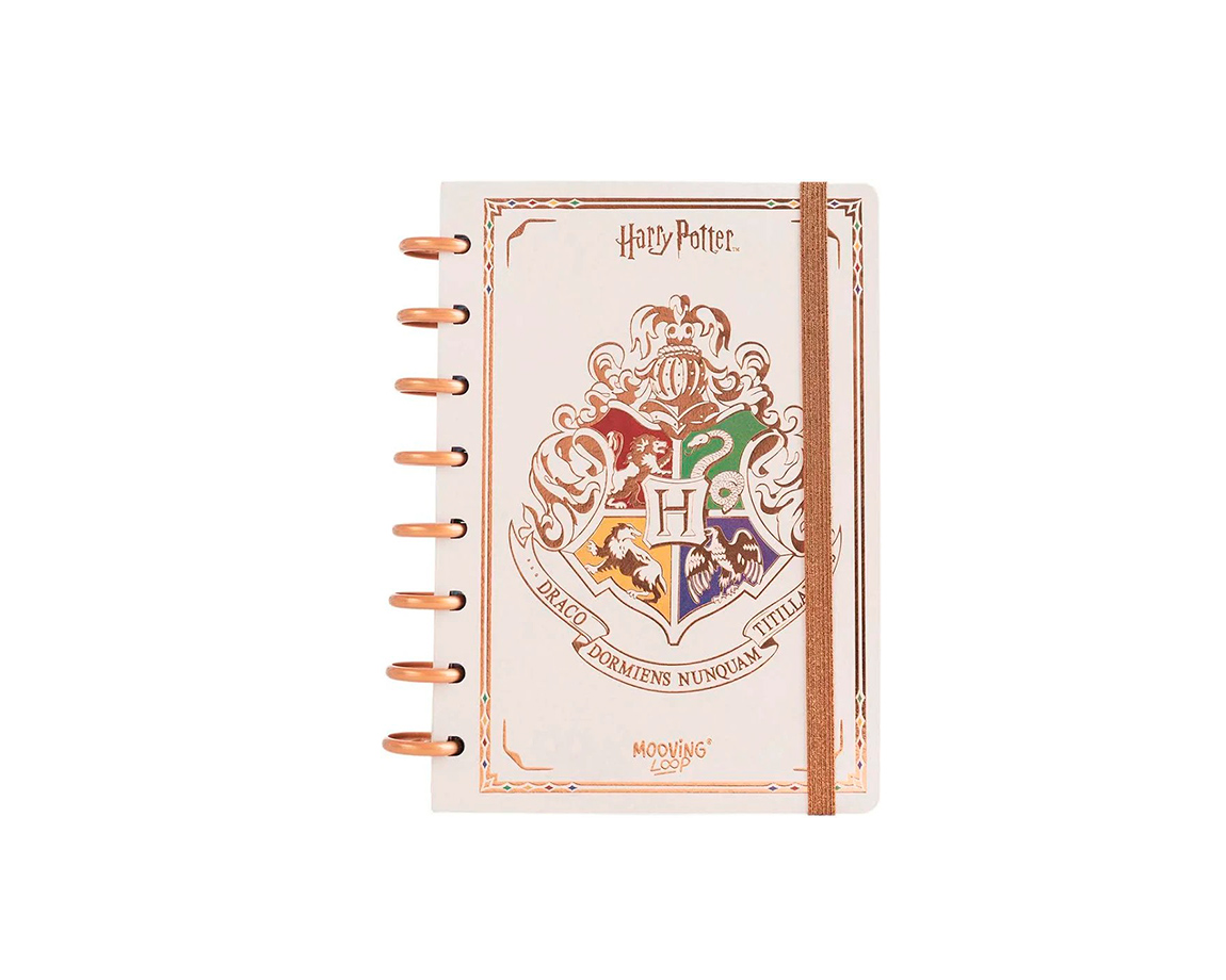 CUADERNO MOOVING LOOP 1721222 HARRY POTTER A5 DISCOS