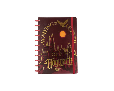 CUADERNO MOOVING LOOP 1711222 HARRY POTTER CARTA DISCOS