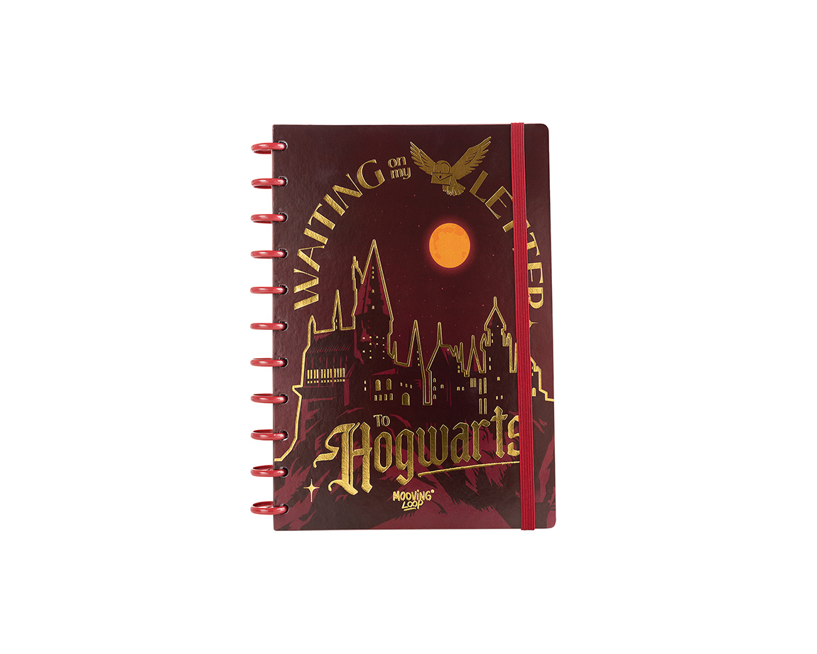 CUADERNO MOOVING LOOP 1711222 HARRY POTTER CARTA DISCOS